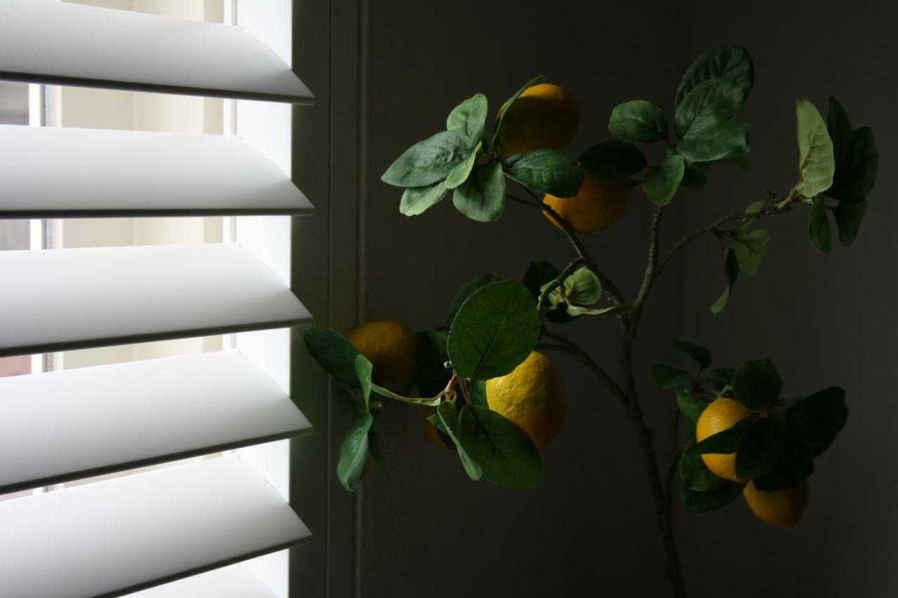 Zandvoort Studio ภายนอก รูปภาพ